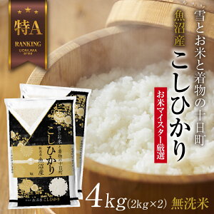 yӂ邳Ɣ[Łzbāb Y RVqJ 2kg ×2 v4kg  Ђ V iĂ̔KChtj   uh  @͂FmFA