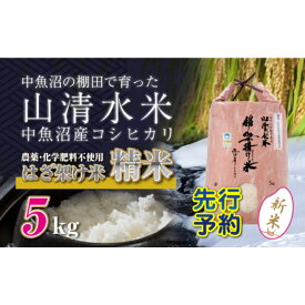 【ふるさと納税】【新米先行受付】新潟県魚沼産コシヒカリ◇精米5kg 栽培期間中農薬・化学肥料不使用「山清水米」はざ架け米　【十日町市】　お届け：2024年11月以降、順次発送します。