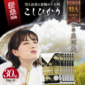 yӂ邳Ɣ[Łzߘa7NY V Y RVqJ  30kg i5kg×6܁j čς    V Ђ   \@͂F񕍊mFA