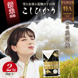 yӂ邳Ɣ[Łzߘa7NY V Y RVqJ  2kg čς    V Ђ   \@͂F񕍊mFA