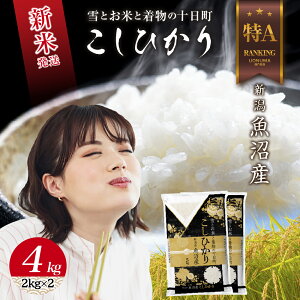 yӂ邳Ɣ[Łzߘa7NY V Y RVqJ  4kg (2kg×2) čς    V Ђ   \@͂F񕍊mFA