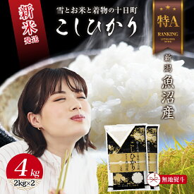 【ふるさと納税】無地のし 令和7年産 新潟県 魚沼産 コシヒカリ お米 4kg (2kg×2袋) 精米済み お米 こめ 白米 新米 こしひかり 送料無料 魚沼 十日町　お届け：寄附確認後、順次発送
