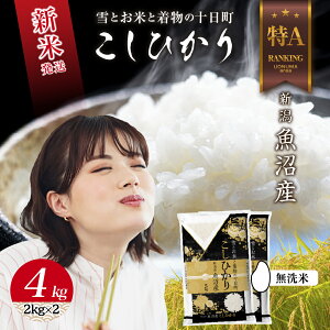 yӂ邳Ɣ[Łz ߘa7NY V Y RVqJ  4kg (2kg×2) čς    V Ђ   \@͂F񕍊mFA