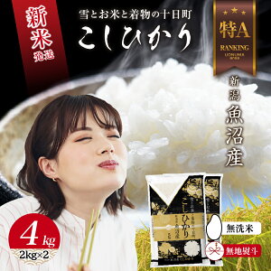 yӂ邳Ɣ[Łzn̂  ߘa7NY V Y RVqJ  4kg (2kg×2) čς    V Ђ   \@͂F񕍊mFA