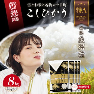 yӂ邳Ɣ[Łzn̂ ߘa6NY V Y RVqJ  8kg (2kg×4) čς    V Ђ   \@͂F񕍊mFA