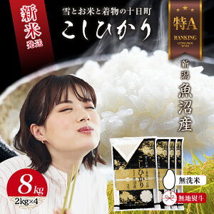 yӂ邳Ɣ[Łzn̂  ߘa7NY V Y RVqJ  8kg (2kg×4) čς    V Ђ   \@͂F񕍊mFA