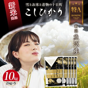 yӂ邳Ɣ[Łzߘa7NY V Y RVqJ  10kg (2kg×5) čς    V Ђ   \@͂F񕍊mFA