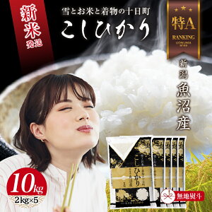 yӂ邳Ɣ[Łzn̂ ߘa7NY V Y RVqJ  10kg (2kg×5) čς    V Ђ   \@͂F񕍊mFA