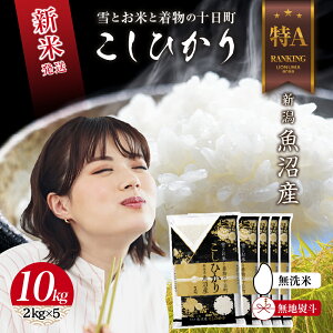 yӂ邳Ɣ[Łzn̂  ߘa7NY V Y RVqJ  10kg (2kg×5) čς    V Ђ   \@͂F񕍊mFA