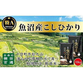 【ふるさと納税】【令和7年産】【食味鑑定士厳選】日本棚田百選のお米　天空の里 魚沼産 こしひかり 10kg(5kg×2)　お届け：令和7年10月下旬（10月21日～）