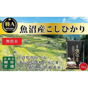 【ふるさと納税】【令和7年産新米予約】【食味鑑定士厳選】日本棚田百選のお米 無洗米 天空の里 魚沼産 こしひかり 5kg×1 お届け:令和7年10月下旬(10月21日〜)
