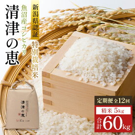 【ふるさと納税】米 定期便 12ヶ月 特別栽培米 コシヒカリ 清津の恵 5kg 精米 白米 お米 魚沼産コシヒカリ 新潟米 新潟 十日町市 定期 12回　お届け：2025年10月上旬以降、ご入金確認後順次配送予定。