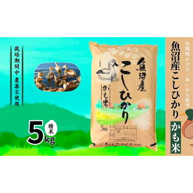 【ふるさと納税】【令和7年産】魚沼産コシヒカリかも米(精米)5kg　※栽培期間中農薬不使用 米 お米 こしひかり 精米 かも米 中魚沼 新潟県 十日町市　お届け：寄附入金確認後、順次発送
