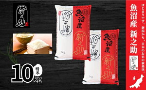 yӂ邳Ɣ[Łzyߘa7NYzYVV()10kg    ̂  V \s@͂F񕍎tmFA