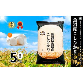 【ふるさと納税】米 コシヒカリ 金印 5kg 精米 白米 お米 魚沼産コシヒカリ 新潟米 新潟 十日町市　お届け：寄附入金確認後、順次発送