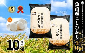【ふるさと納税】【令和7年産】魚沼産コシヒカリ金印(精米)10kg 米 お米 こしひかり 精米 中魚沼 新潟県 十日町市　お届け：寄附受付確認後、順次発送