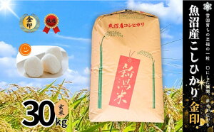 yӂ邳Ɣ[Łzyߘa7NYzYRVqJ()30kg   Ђ   V \s@͂F񕍎tmFA