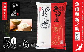 【ふるさと納税】米 定期便 6ヶ月 新之助 5kg 精米 白米 お米 新潟米新之助 新潟米 新潟 十日町市 定期 6回　お届け：寄附入金月の翌月より発送