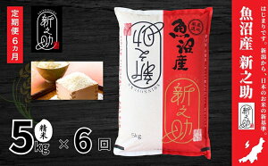yӂ邳Ɣ[ŁzyցzYVV()5kg@S6    ̂   V \s@͂F񕍓̗蔭