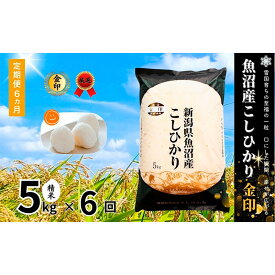 【ふるさと納税】米 定期便 6ヶ月 コシヒカリ 金印 5kg 精米 白米 お米 魚沼産コシヒカリ 新潟米 新潟 十日町市 定期 6回　お届け：寄附入金月の翌月より発送