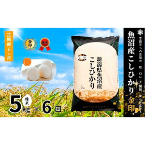 yӂ邳Ɣ[ŁzyցzYRVqJ()5kg@S6   Ђ    V \s@͂F񕍓̗蔭