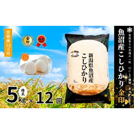 【ふるさと納税】米 定期便 12ヶ月 コシヒカリ 金印 5kg 精米 白米 お米 魚沼産コシヒカリ 新潟米 新潟 十日町市 定期 12回　お届け：寄附入金月の翌月より発送