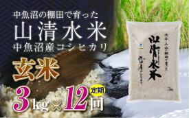 【ふるさと納税】【定期便／全12回】玄米3kg　新潟県魚沼産コシヒカリ「山清水米」十日町市 米　お届け：2027年4月下旬まで