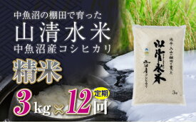 【ふるさと納税】【定期便／全12回】精米3kg　新潟県魚沼産コシヒカリ「山清水米」十日町市 米　お届け：2027年4月下旬まで