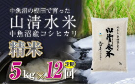 【ふるさと納税】【定期便／全12回】精米5kg　新潟県魚沼産コシヒカリ「山清水米」十日町市 米　お届け：2027年4月下旬まで