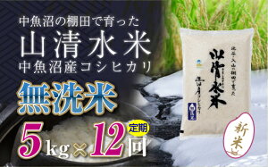 �y�ӂ邳�Ɣ[�Łz�y����ց^�S12��z������5kg�@�V���������Y�R�V�q�J���u�R�����āv�\�����s �ā@���͂��F�񕍓����m�F��A�����������܂��B