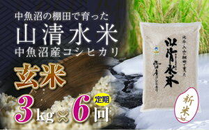 yӂ邳Ɣ[Łzyց^S6z3kg@VYRVqJuRāv\s ā@͂F񕍓mFA܂B