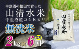 【ふるさと納税】【定期便／全6回】無洗米2kg　新潟県魚沼産コシヒカリ「山清水米」十日町市 米　お届け：寄附入金確認後、順次発送します。