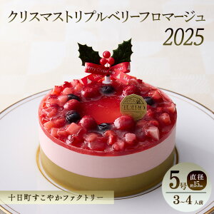 yӂ邳Ɣ[ŁzNX}Xgvx[t}[Wi5Ea15cmjb\₩t@Ng[ AM[Ή 茴ޗsgp NX}XP[L t}[W z[ P[