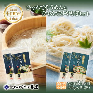 yӂ邳Ɣ[ŁzЂ ߂ Ђނ 600g e2 v4 24lO f \[ ┞ qM  ߂ Ɨp  Ε 蕨  ~ ۑ ֗ Mtg z  