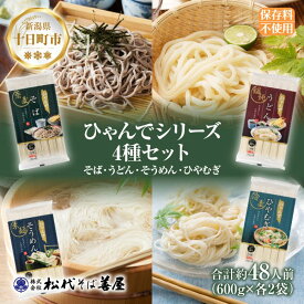 【ふるさと納税】ひゃんで 乾麺4種セット 600g 各2袋 計8袋 約48人前 そば うどん そうめん ひやむぎ 蕎麦 饂飩 素麺 冷や麦 麺 乾めん 自家用 お中元 お歳暮 贈り物 お取り寄せ 備蓄 保存 便利 ギフト 松代そば善屋 新潟県 十日町市