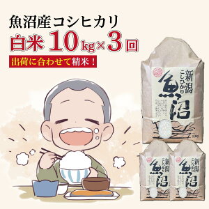 yӂ邳Ɣ[Łzy3ցzߘa7NYVā@YRVqJ 10kg×3@v30kg@ R Ђ  uh  \s@͂F2025N10{`2026N8{