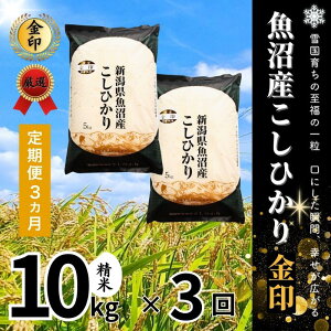 �y�ӂ邳�Ɣ[�Łz�y����֑S3�񖈌������z�����Y�R�V�q�J������(����)10kg �� �����Ђ��� ��� �V�� �\�����s