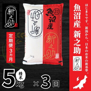 �y�ӂ邳�Ɣ[�Łz�y����֑S3�񖈌������z�����Y�V�V��(����)�@5kg �� ��� �V�� �\�����s