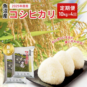 yӂ邳Ɣ[ŁzYRVqJ10kg(5kg×2)×4(u) @͂F2026N1{`2026N7{܂