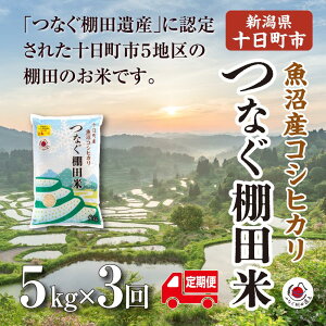 �y�ӂ邳�Ɣ[�Łz�y����ց^�S3��z����5kg �@�ߘa7�N�Y�V�����\�����s�����Y�R�V�q�J���u�Ȃ��I�c�āv �� �����Ђ��� ���� ��� �\�����s�@���͂��F2026�N1�����{�`2026�N9�����{