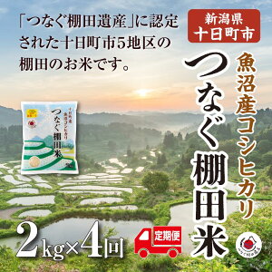 �y�ӂ邳�Ɣ[�Łz�y����ց^�S4��z����2kg�@�ߘa7�N�Y�V�����\�����s�����Y�R�V�q�J���u�Ȃ��I�c�āv �� �����Ђ��� ���� ��� �\�����s�@���͂��F2026�N1�����{�`2026�N9�����{