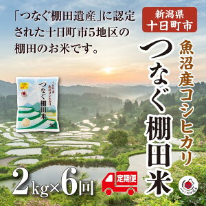 �y�ӂ邳�Ɣ[�Łz�y����ց^�S6��z����2kg�@�ߘa7�N�Y�V�����\�����s�����Y�R�V�q�J���u�Ȃ��I�c�āv �� �����Ђ��� ���� ��� �\�����s�@���͂��F2026�N1�����{�`2026�N9�����{