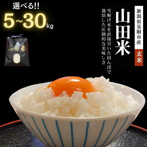 yӂ邳Ɣ[Łz   R7NY V Rc  30kg 20kg 10kg 5kg V s V  Â  lC ߘa7NY VY    sӂ邳Ɣ[ t@[