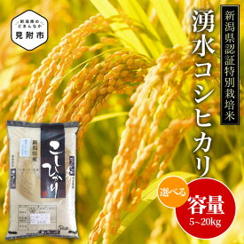 【ふるさと納税】 米 5kg 10kg 20kg 新潟県産 こしひかり コスパ 精米 特別栽培米 令和7年産 コシヒカリ 「湧水コシヒカリ」精米 したてを お届け 新潟 おすすめ 5キロ 米 お米 白米 国産 送料無料 ブランド 減農薬 おこめ 新潟産 見附 見附市