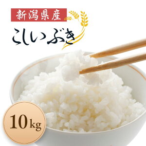 yӂ邳Ɣ[Łz R   Ԃ   5kg 10kg ߘa7NY 2025NY  V  s ⟺_