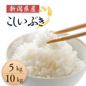 【ふるさと納税】米 コメ お米 おこめ こしいぶき 精米 白米 5kg 10kg 令和7年産 2025年産 送料無料 新潟 見附 見附市