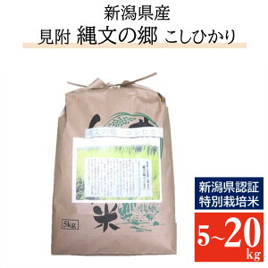 yӂ邳Ɣ[Łz  V Y Ђ 5kg10kg 20kg ʍ͔| ߘa7NY RVqJ uꕶ̋RVqJv  Ă ͂ V ̂ǐ^ s Ђ  5L 10