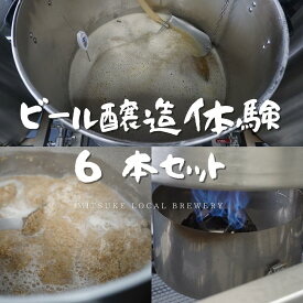 【ふるさと納税】ビール醸造体験 MITSUKE Local Brewery