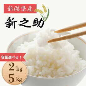 【ふるさと納税】米 コメ お米 おこめ 新之助 精米 白米 2kg 5kg 令和7年産 2025年産 送料無料 新潟 見附 見附市