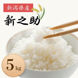 【ふるさと納税】米 コメ お米 おこめ 新之助 精米 白米 2kg 5kg 令和7年産 2025年産 定期便 送料無料 新潟 見附 見附市 岩渕農場 定期 3回 3か月
